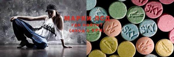 дмт Вяземский
